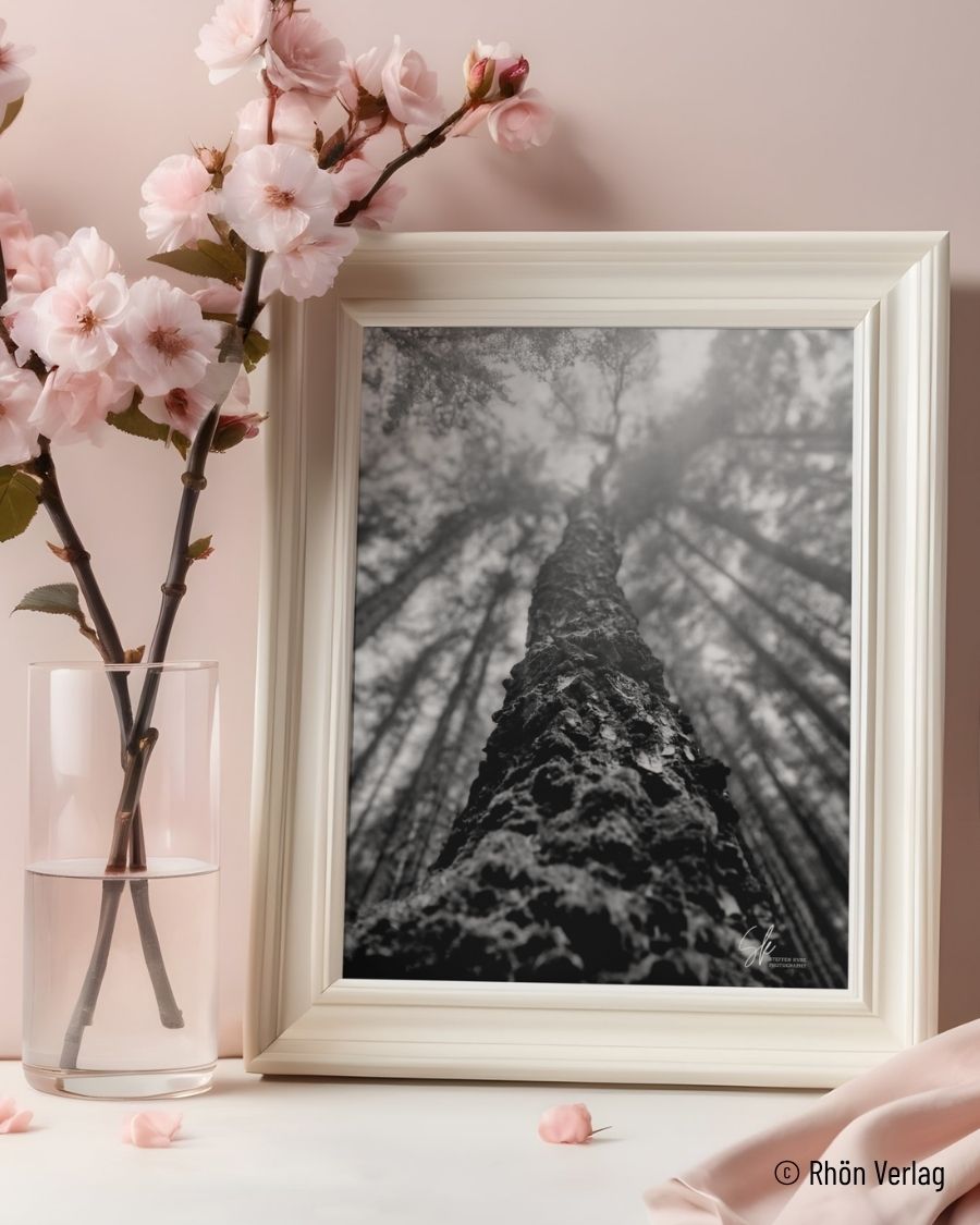 Himmelwärts – FineArt Fotografie als digitaler Download
