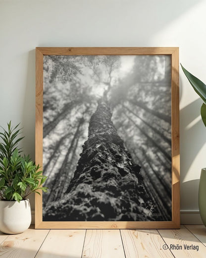 Himmelwärts – FineArt Fotografie als digitaler Download