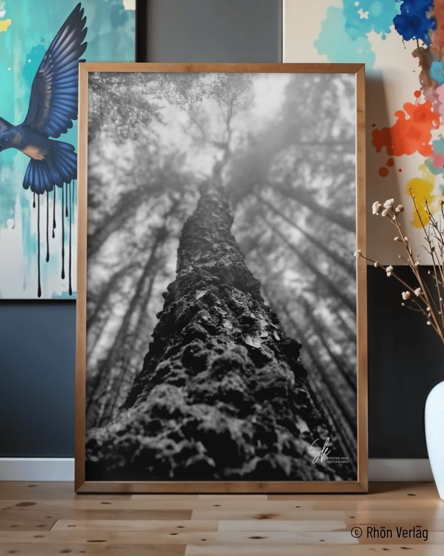 Himmelwärts – FineArt Fotografie als digitaler Download