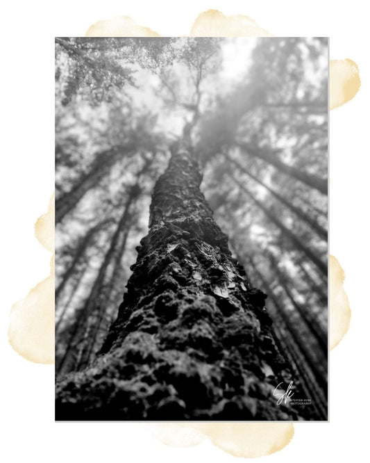 Himmelwärts – FineArt Fotografie als digitaler Download